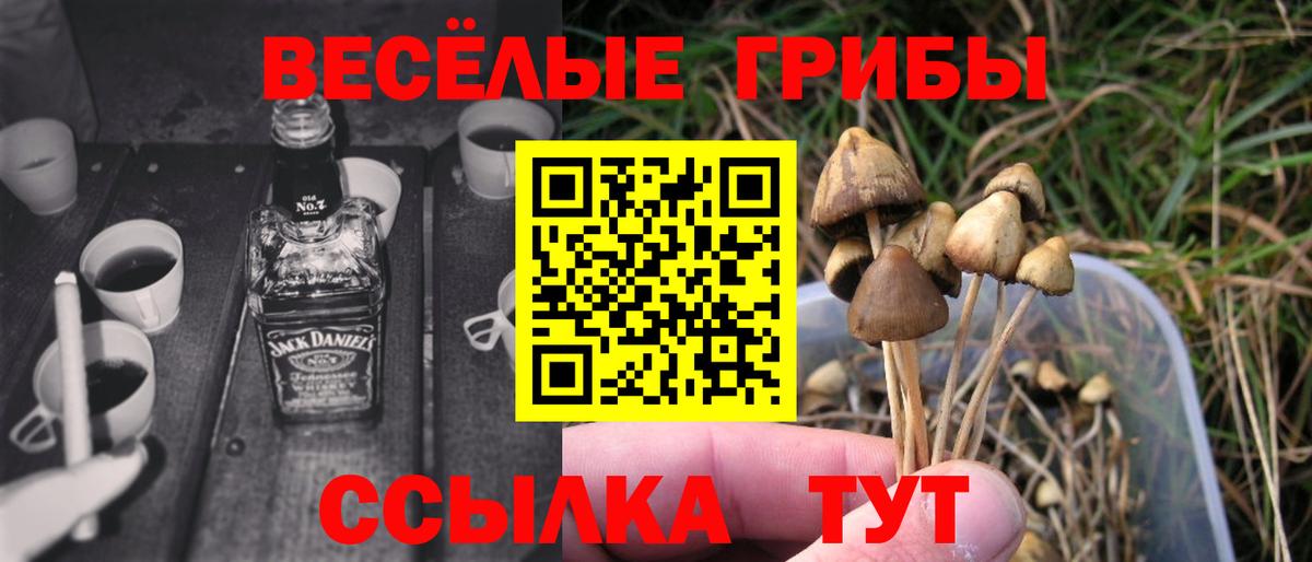 Арсеньев  Галлюциногенные грибы GOLDEN TEACHER  Вход с VPN  Галлюциногенные грибы ЛСД 