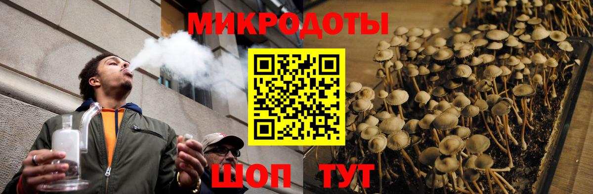 Галлюциногенные грибы Psilocybe Арсеньев